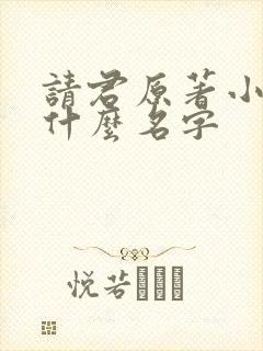 请君原著小说叫什么名字