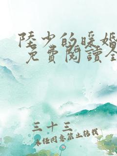 陆少的暖婚新妻 免费阅读全文