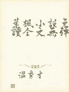 叶枫小说免费阅读全文无弹窗最新