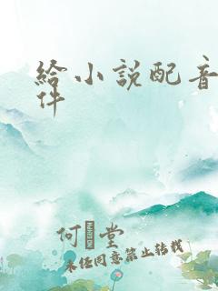 给小说配音的软件