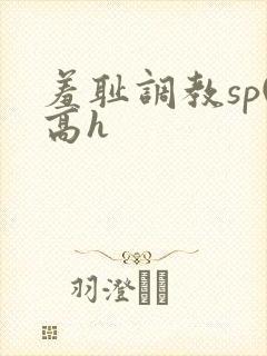 羞耻调教sp(高h