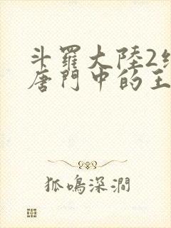 斗罗大陆2绝世唐门中的王冬