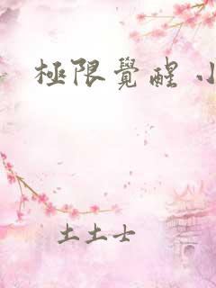 极限觉醒 小说