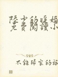 陆少的暖婚新妻免费阅读小说