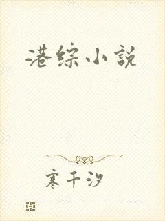 港综小说
