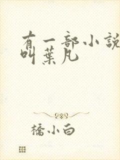 有一部小说主角叫叶凡