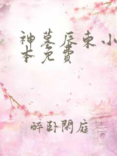 神墓辰东小说全本免费