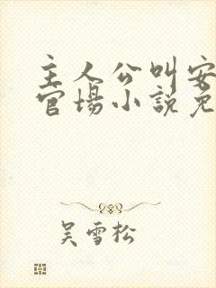 主人公叫安江的官场小说免费阅读