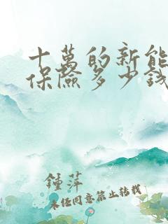 十万的新能源车保险多少钱
