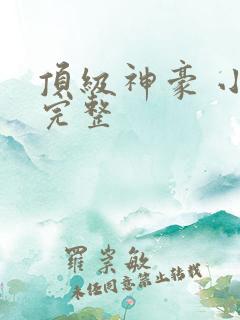 顶级神豪 小说完整