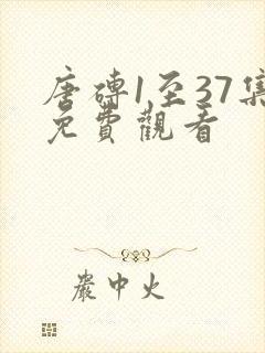 唐砖1至37集免费观看