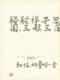 骆驼祥子思维导图,三起三落