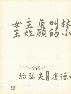 女主角叫林微男主姓顾的小说