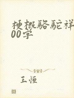 梗概骆驼祥子600字