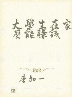 大学生在家做什么能赚钱