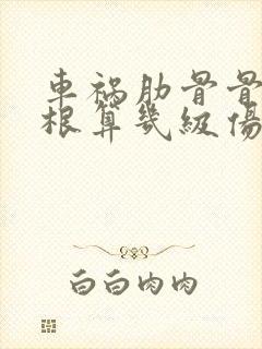 车祸肋骨骨折6根算几级伤残