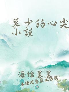 慕少的心尖萌妻小说