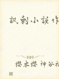 讽刺小说作家