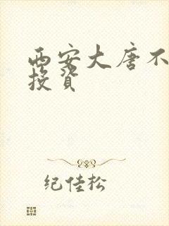 西安大唐不夜城投资