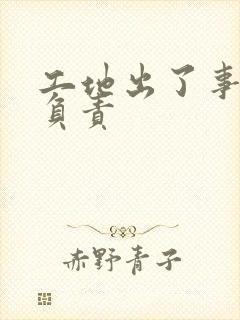 工地出了事故谁负责