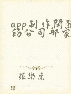 app制作开发的公司哪家好
