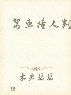驾车撞人判刑