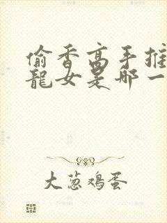 偷香高手推倒小龙女是哪一章