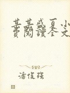 某某盛夏小说免费阅读全文
