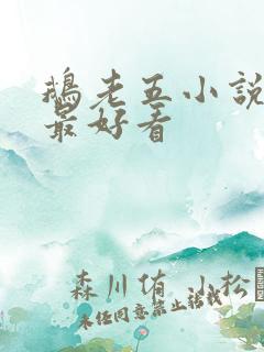 鹅老五小说哪本最好看