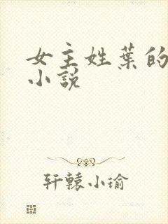 女主姓叶的古代小说