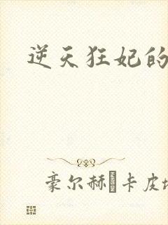 逆天狂妃的小说