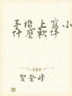 手机上写小说用什么软件