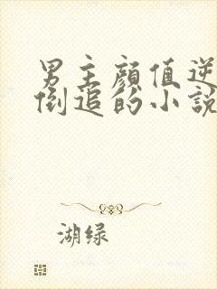 男主颜值逆天被倒追的小说