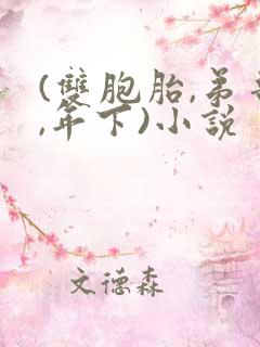 (双胞胎,弟哥,年下)小说