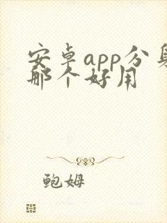 安卓app分身那个好用 安卓app分身那个好用