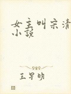 女主叫宋清月的小说