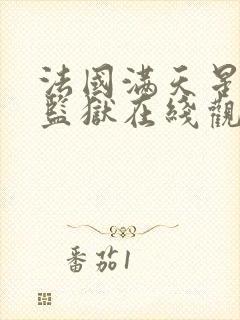 法国满天星高压监狱在线观看