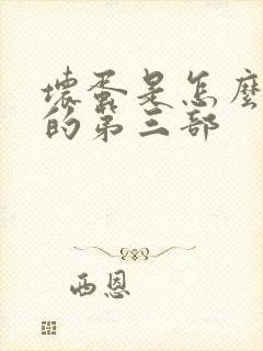 坏蛋是怎么炼成的第三部