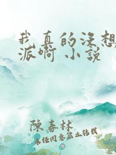 我真的没想当反派啊 小说