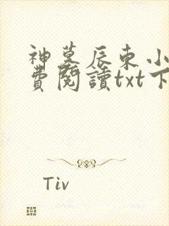 神墓辰东小说免费阅读txt下载