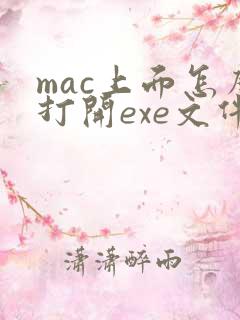 mac上面怎么打开exe文件