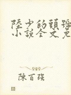 陆少的头号宠婚小说全文免费阅读