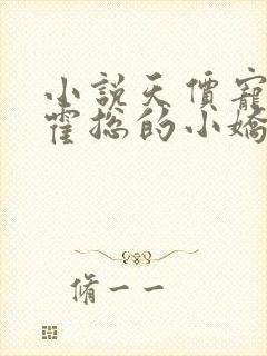 小说天价宠婚:霍总的小娇妻