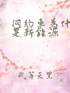 网约车为什么都是新能源