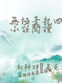 无极青龙四皇子小说阅读
