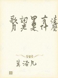 歌词里有淡淡的月光是什么歌