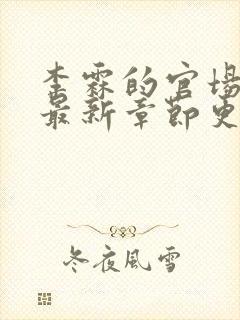 李霖的官场小说最新章节更新