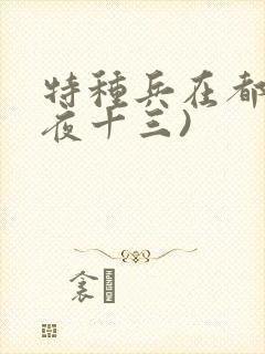 特种兵在都市(夜十三)