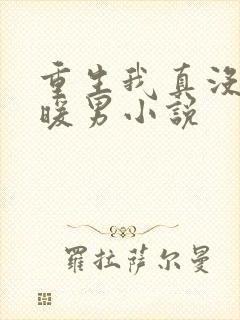 重生我真没想当暖男小说