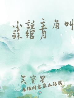 小说主角叫林凡苏绾月